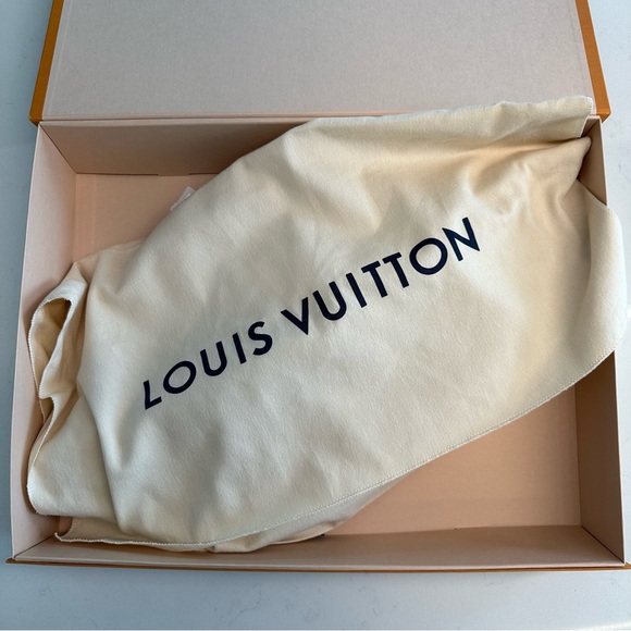 Louis Vuitton Christopher Bumbag Monogram Brown - Picture 14 of 15